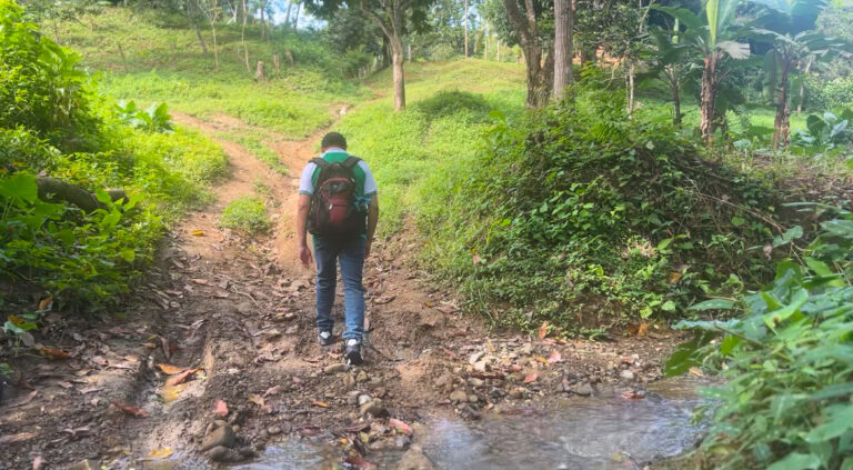 20250129_164951000_iOS-768x423