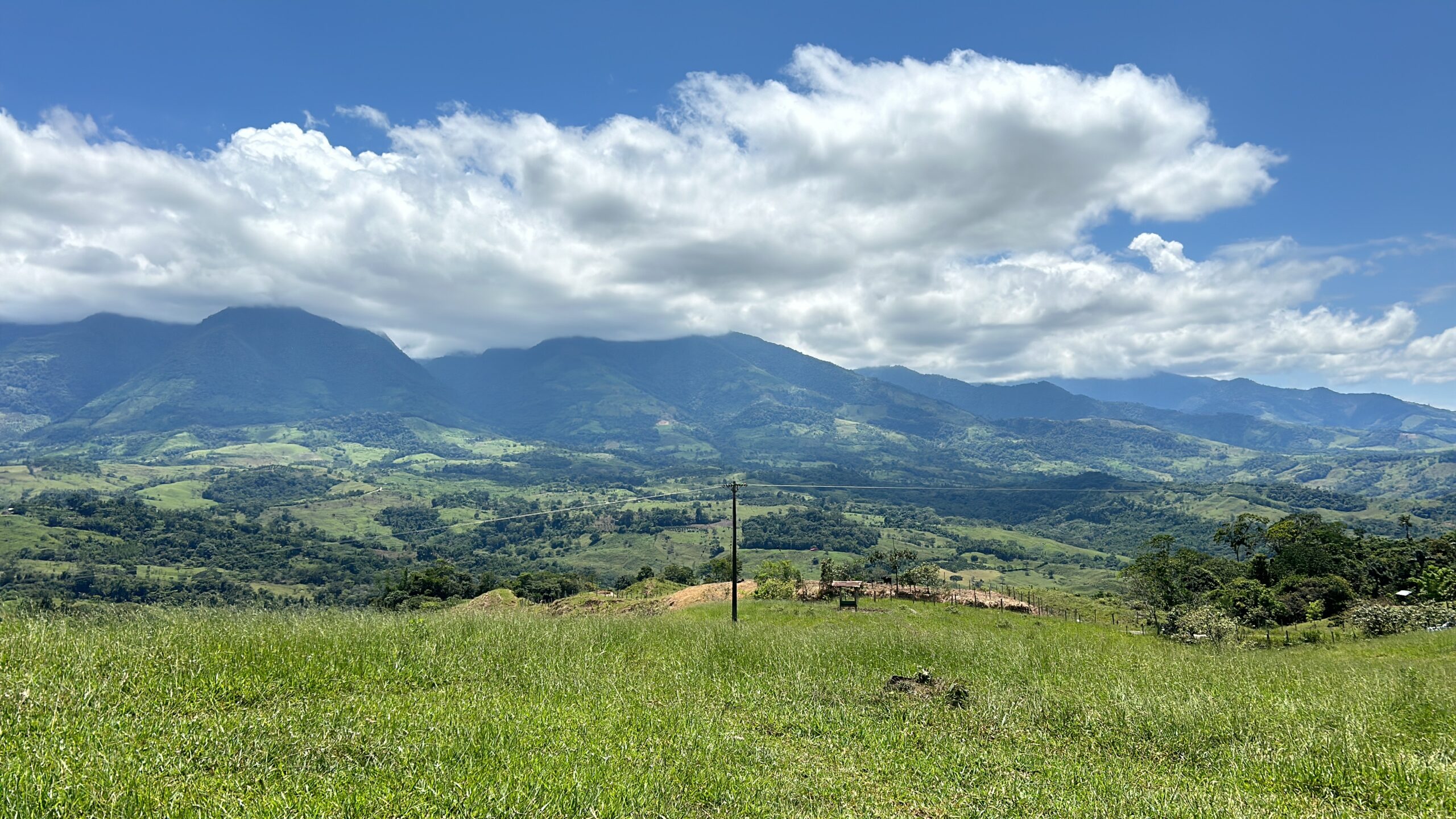 371570A1-509F-4437-980F-05E41EE3BC22-scaled